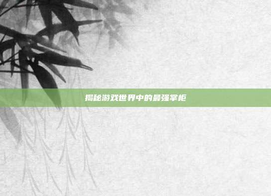 揭秘游戏世界中的最强掌柜