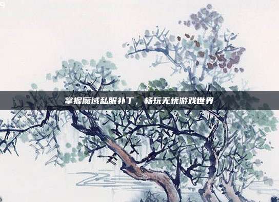 掌握魔域私服补丁,畅玩无忧游戏世界