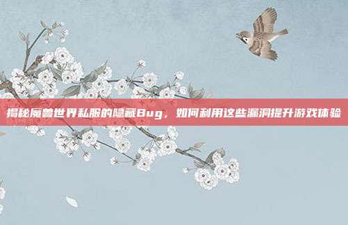 揭秘魔兽世界私服的隐藏Bug，如何利用这些漏洞提升游戏体验