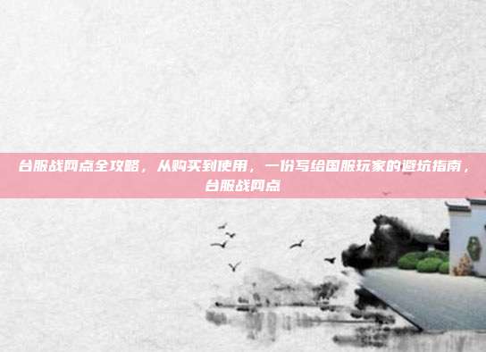 台服战网点全攻略，从购买到使用，一份写给国服玩家的避坑指南，台服战网点