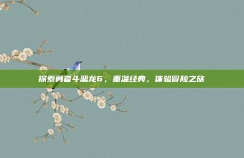 探索勇者斗恶龙6,重温经典,体验冒险之旅