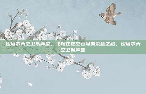 沙塔尔天空卫队声望，飞翔在虚空苍穹的荣耀之路，沙塔尔天空卫队声望