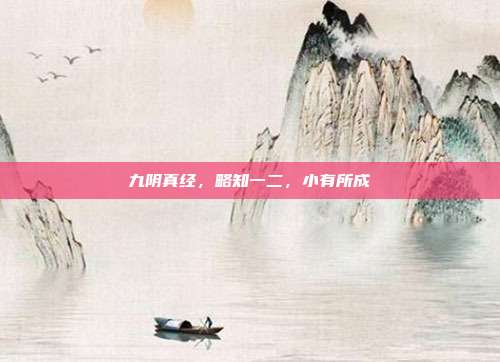 九阴真经,略知一二,小有所成