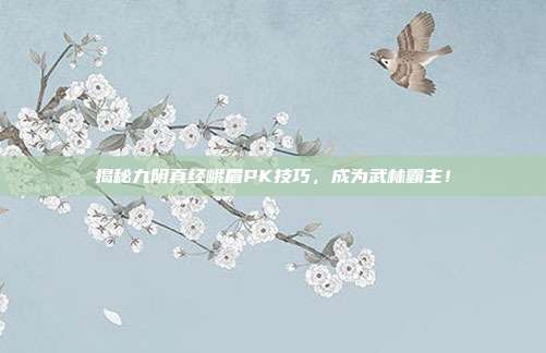 揭秘九阴真经峨眉PK技巧，成为武林霸主！