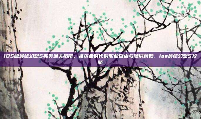 iOS版最终幻想5完美通关指南，祖尔金时代的职业自由与触屏精妙，ios最终幻想5攻略