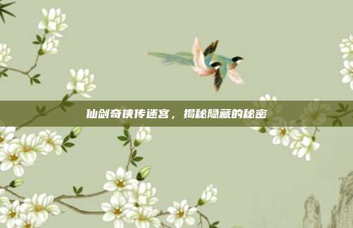 仙剑奇侠传迷宫,揭秘隐藏的秘密