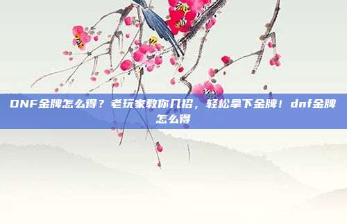 DNF金牌怎么得？老玩家教你几招，轻松拿下金牌！dnf金牌怎么得