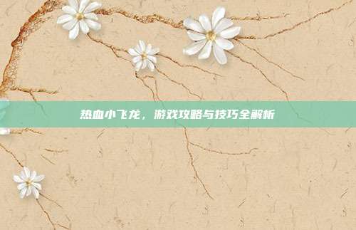 热血小飞龙,游戏攻略与技巧全解析