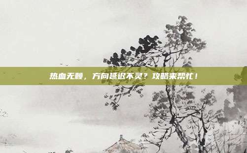 热血无赖,方向延迟不灵?攻略来帮忙!