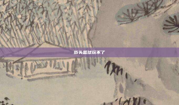 街头篮球玩不了