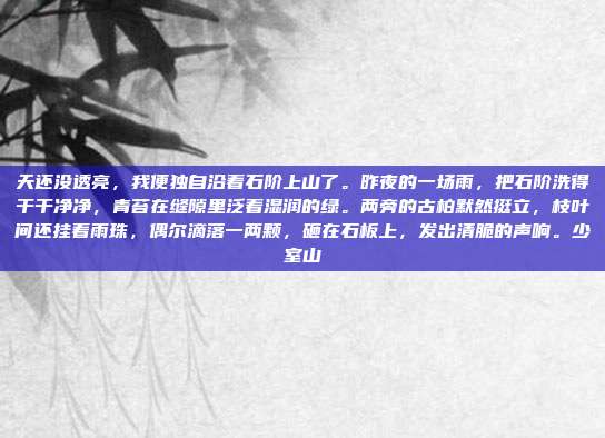 天还没透亮，我便独自沿着石阶上山了。昨夜的一场雨，把石阶洗得干干净净，青苔在缝隙里泛着湿润的绿。两旁的古柏默然挺立，枝叶间还挂着雨珠，偶尔滴落一两颗，砸在石板上，发出清脆的声响。少室山