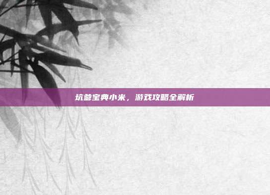 坑爹宝典小米,游戏攻略全解析