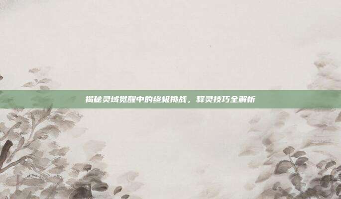 揭秘灵域觉醒中的终极挑战,释灵技巧全解析