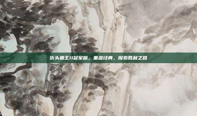 街头霸王II冠军版,重温经典,探索胜利之路
