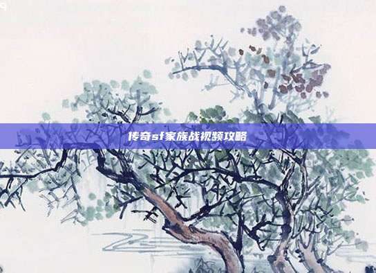 传奇sf家族战视频攻略
