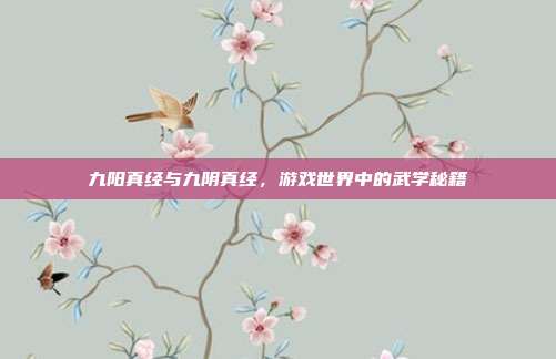 九阳真经与九阴真经，游戏世界中的武学秘籍