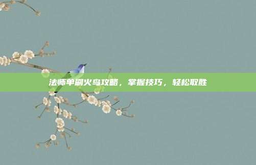 法师单刷火鸟攻略,掌握技巧,轻松取胜