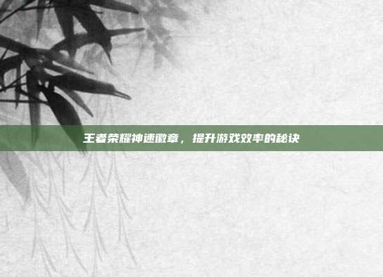 王者荣耀神速徽章,提升游戏效率的秘诀