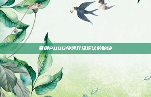 掌握PUBG快速升级枪法的秘诀