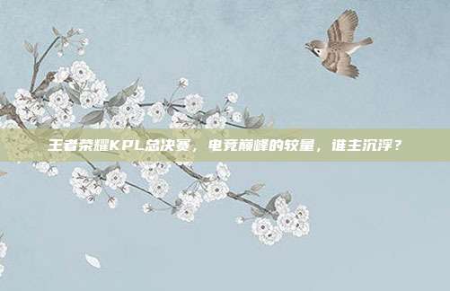 王者荣耀KPL总决赛,电竞巅峰的较量,谁主沉浮?